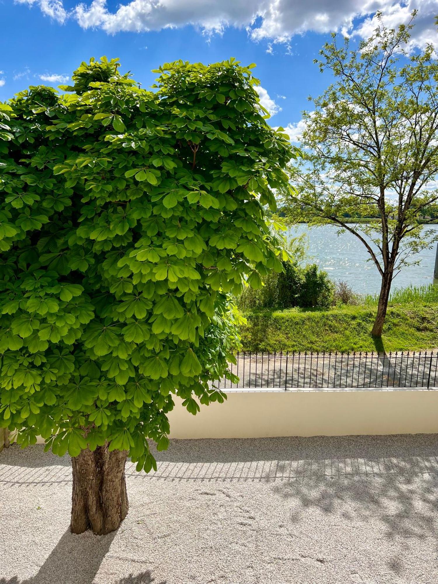 La Villa Du Fleuve Quinsac  외부 사진